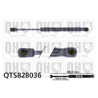 Vérin de hayon, de coffre QUINTON HAZELL [QTS828036]