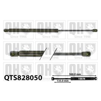 Vérin de hayon, de coffre QUINTON HAZELL OEM 871703