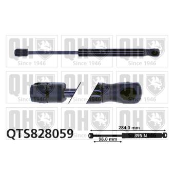 Vérin de hayon, de coffre QUINTON HAZELL [QTS828059]