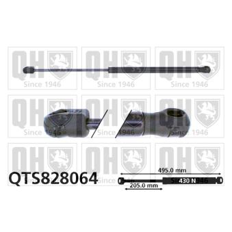 Vérin de hayon, de coffre QUINTON HAZELL QTS828064 pour MERCEDES-BENZ CLASSE A A 170 - 116cv