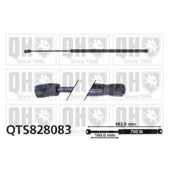 Vérin de hayon, de coffre QUINTON HAZELL QTS828083 pour HYUNDAI I20 1.7 CDTI - 110cv