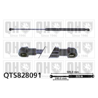 Vérin de hayon, de coffre QUINTON HAZELL OEM 844300006R