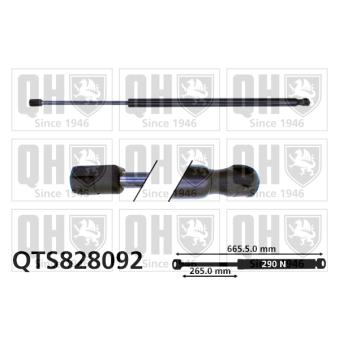 Vérin de hayon, de coffre QUINTON HAZELL [QTS828092]