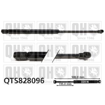 Vérin de hayon, de coffre QUINTON HAZELL OEM 1P9827550