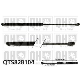 Vérin de hayon, de coffre QUINTON HAZELL QTS828104 pour SUZUKI IGNIS 1.5 - 99cv