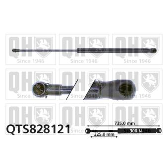 Vérin, capot-moteur QUINTON HAZELL QTS828121 pour VOLKSWAGEN EOS 2.0 TDI - 140cv Vérin, capot-moteur QUINTON HAZELL QTS828121 pour VOLKSWAGEN EOS 2.0 TDI - 140cv