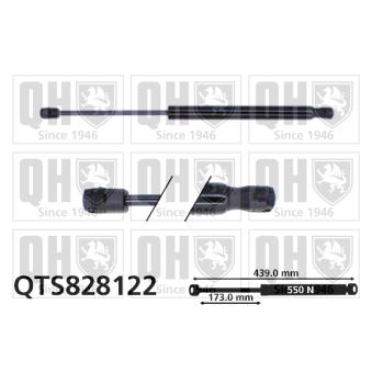 Vérin de hayon, de coffre QUINTON HAZELL QTS828122 pour RENAULT R19 Blue E-Motion - 88cv