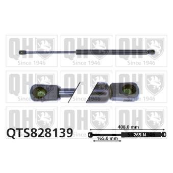 Vérin de hayon, de coffre QUINTON HAZELL QTS828139