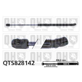 Vérin de hayon, de coffre QUINTON HAZELL OEM 4L0827552C