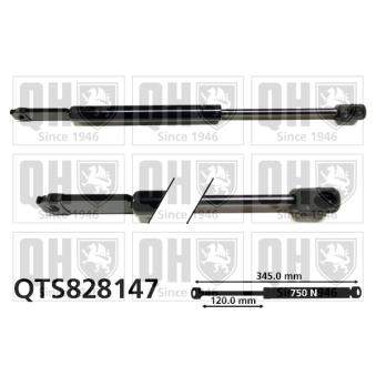 Vérin, capot-moteur QUINTON HAZELL QTS828147