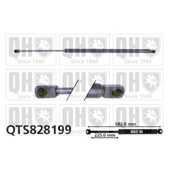 Vérin de hayon, de coffre QUINTON HAZELL QTS828199 pour MERCEDES-BENZ CLASSE C C 230 Kompressor - 192cv