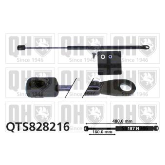 Vérin, vitre arrière QUINTON HAZELL QTS828216