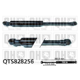 Vérin QUINTON HAZELL OEM 8731H2