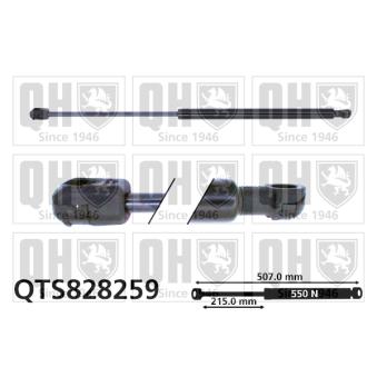 Vérin de hayon, de coffre QUINTON HAZELL OEM 8731Q0