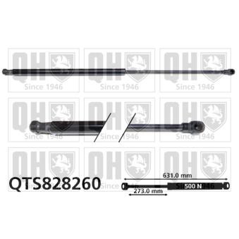 Vérin de hayon, de coffre QUINTON HAZELL OEM 8731N6