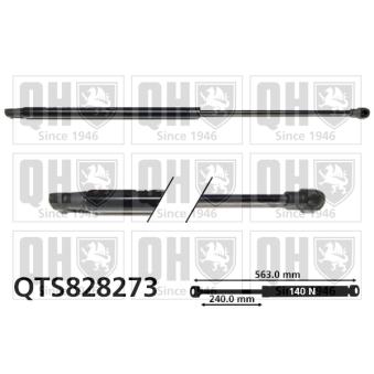 Vérin, vitre arrière QUINTON HAZELL [QTS828273]