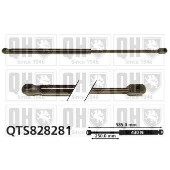 Vérin QUINTON HAZELL [QTS828281]