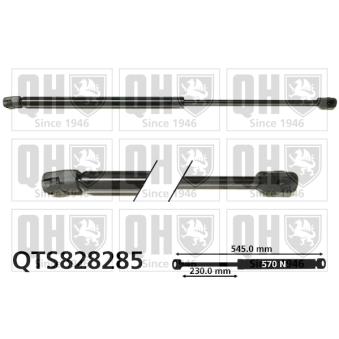 Vérin de hayon, de coffre QUINTON HAZELL OEM 8200212598