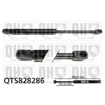 Vérin QUINTON HAZELL QTS828286