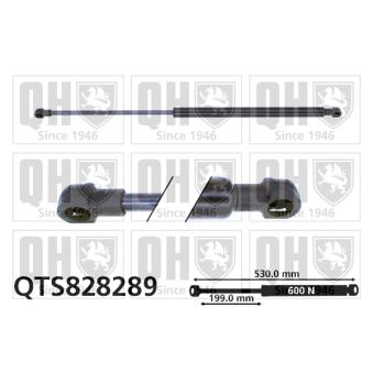 Vérin de hayon, de coffre QUINTON HAZELL QTS828289 pour CITROEN JUMPY 1.6 E85 - 110cv