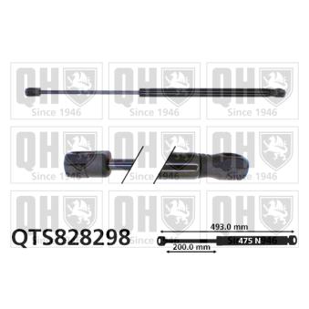 Vérin de hayon, de coffre QUINTON HAZELL QTS828298