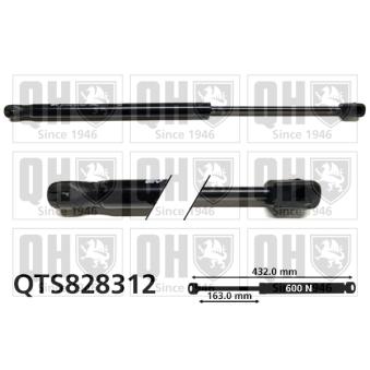 Vérin de hayon, de coffre QUINTON HAZELL QTS828312 pour VOLKSWAGEN PASSAT 1.5 dCi - 110cv