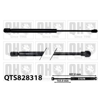 Vérin, capot-moteur QUINTON HAZELL OEM 1T0823359C