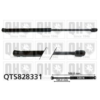 Vérin de hayon, de coffre QUINTON HAZELL [QTS828331]