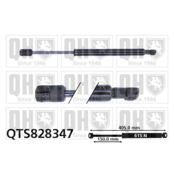 Vérin de hayon, de coffre QUINTON HAZELL [QTS828347]