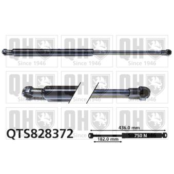 Vérin de hayon, de coffre QUINTON HAZELL OEM 844307620R Vérin de hayon, de coffre QUINTON HAZELL OEM 844307620R