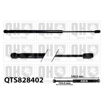 Vérin de hayon, de coffre QUINTON HAZELL QTS828402 pour LANCIA DEDRA 1.0 TSI - 110cv