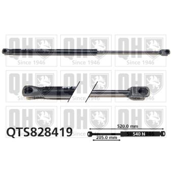 Vérin de hayon, de coffre QUINTON HAZELL QTS828419 pour TOYOTA HIACE B 200 CDI - 136cv