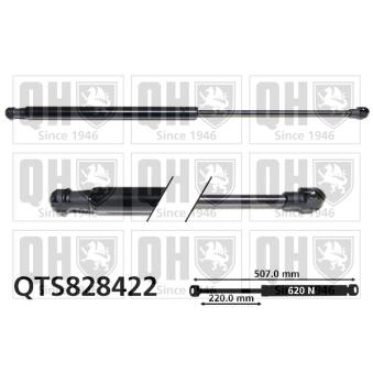 Vérin de hayon, de coffre QUINTON HAZELL QTS828422 pour MAZDA 6 2.2 D AWD - 150cv