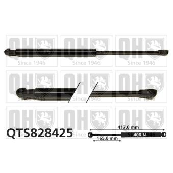 Vérin, capot-moteur QUINTON HAZELL QTS828425 pour ALFA ROMEO 166 2.4 JTD - 140cv Vérin, capot-moteur QUINTON HAZELL QTS828425 pour ALFA ROMEO 166 2.4 JTD - 140cv