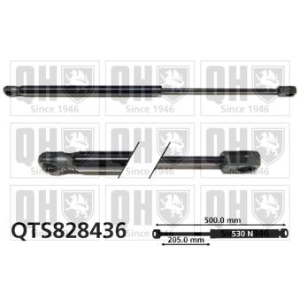 Vérin de hayon, de coffre QUINTON HAZELL QTS828436 pour MINI MINI 1.6 - 110cv