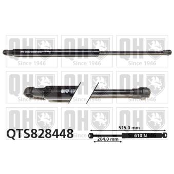 Vérin de hayon, de coffre QUINTON HAZELL QTS828448