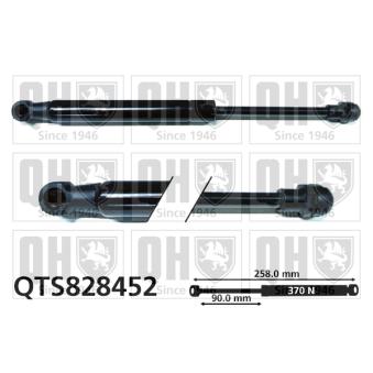 Vérin de hayon, de coffre QUINTON HAZELL QTS828452 pour HYUNDAI IX35 2.0 TDI - 110cv Vérin de hayon, de coffre QUINTON HAZELL QTS828452 pour HYUNDAI IX35 2.0 TDI - 110cv