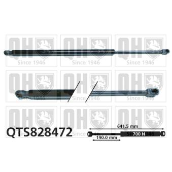 Vérin de hayon, de coffre QUINTON HAZELL [QTS828472]