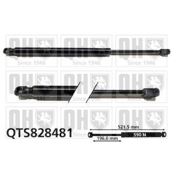 Vérin de hayon, de coffre QUINTON HAZELL QTS828481 pour JAGUAR XJ 1.0 TSI - 110cv