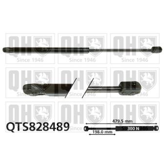 Vérin, capot-moteur QUINTON HAZELL [QTS828489]