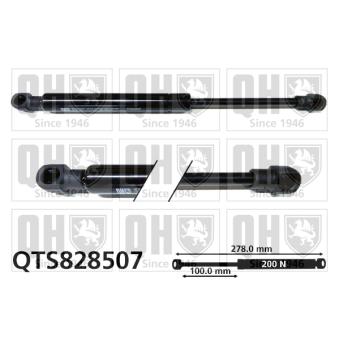 Vérin, étagère (coffre) QUINTON HAZELL QTS828507 pour BMW Série 3 340 i - 360cv