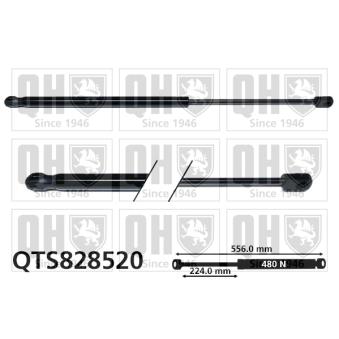 Vérin de hayon, de coffre QUINTON HAZELL QTS828520 pour FIAT 500L 1.6 D Multijet - 105cv