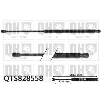 Vérin de hayon, de coffre QUINTON HAZELL QTS828558 pour RENAULT TALISMAN 1.5 dCi 110 - 110cv