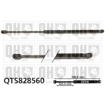 Vérin de hayon, de coffre QUINTON HAZELL [QTS828560]