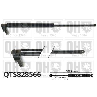 Vérin de hayon, de coffre QUINTON HAZELL QTS828566 pour SUBARU FORESTER 2.0 - 150cv Vérin de hayon, de coffre QUINTON HAZELL QTS828566 pour SUBARU FORESTER 2.0 - 150cv