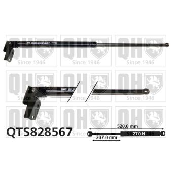 Vérin de hayon, de coffre QUINTON HAZELL QTS828567 pour SUBARU FORESTER 2.0 - 150cv Vérin de hayon, de coffre QUINTON HAZELL QTS828567 pour SUBARU FORESTER 2.0 - 150cv