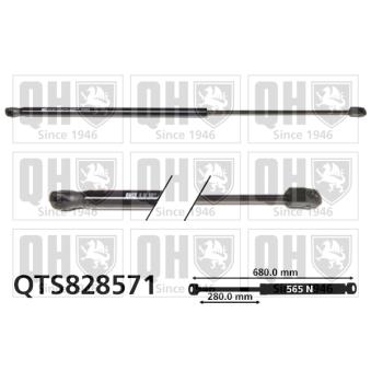 Vérin de hayon, de coffre QUINTON HAZELL QTS828571 pour FORD C-MAX 2.0 Energi - 185cv