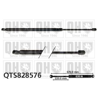 Vérin de hayon, de coffre QUINTON HAZELL [QTS828576]