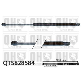 Vérin de hayon, de coffre QUINTON HAZELL QTS828584 pour VOLKSWAGEN ARTEON 2.0 TSI 4motion - 280cv