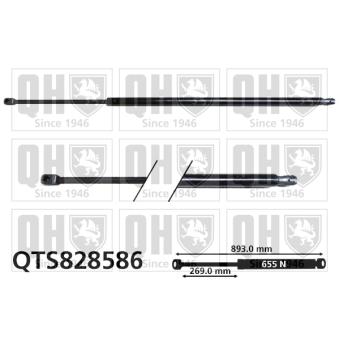 Vérin de hayon, de coffre QUINTON HAZELL QTS828586 pour VOLKSWAGEN PASSAT 2.2 TDCi - 110cv